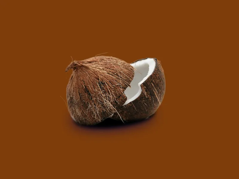 The Day a Kangaroo Became Our Fitness Coach