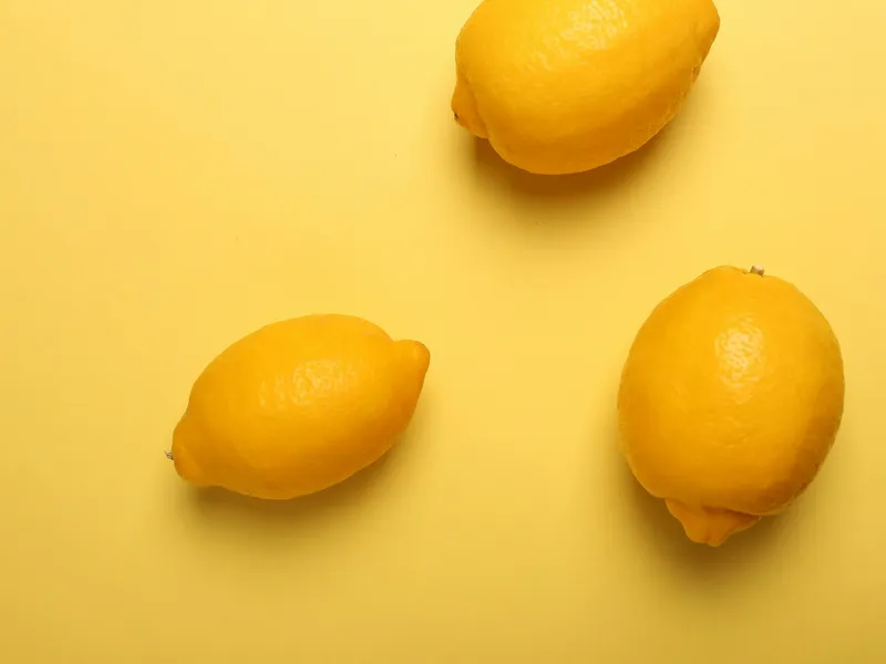 The Sunny Day a Cheeky Raccoon Stole Our Lunch