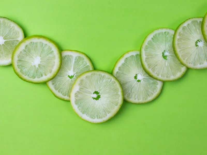 The Day a Monkey Became Our Tour Guide